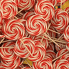 robubet